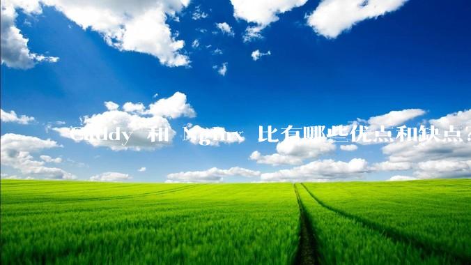 Caddy 和 Nginx 比有哪些优点和缺点？